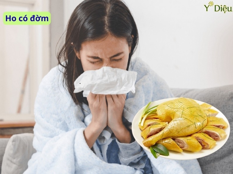 Ho có đờm có nên ăn thịt gà không?